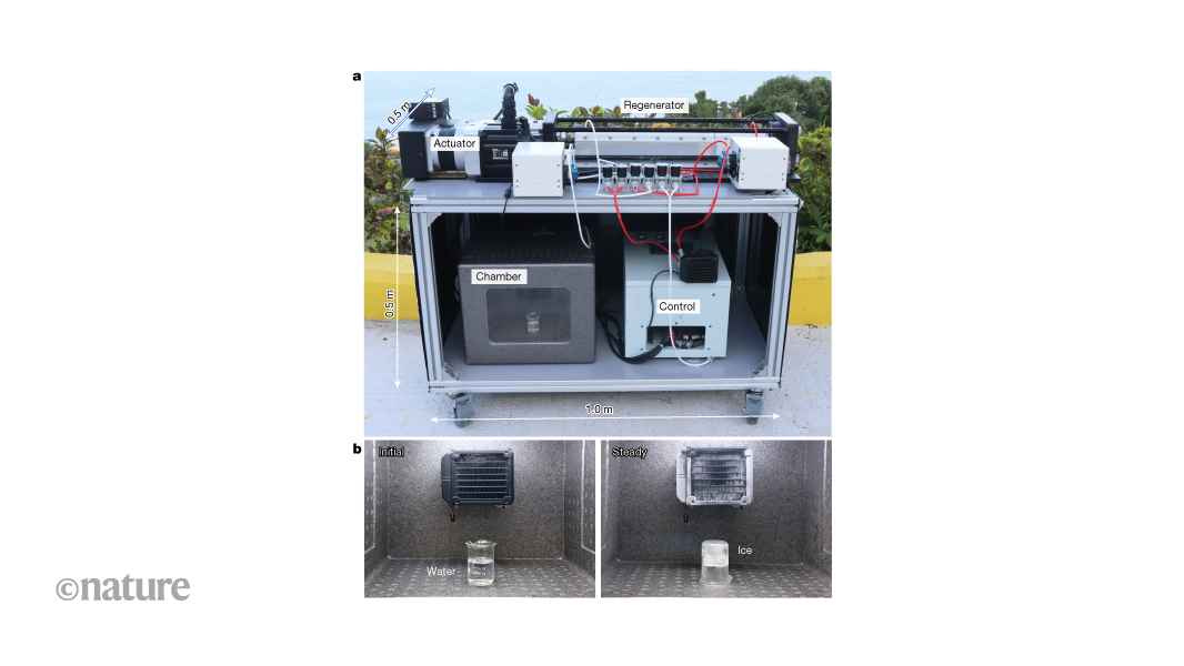 media.nature.com image