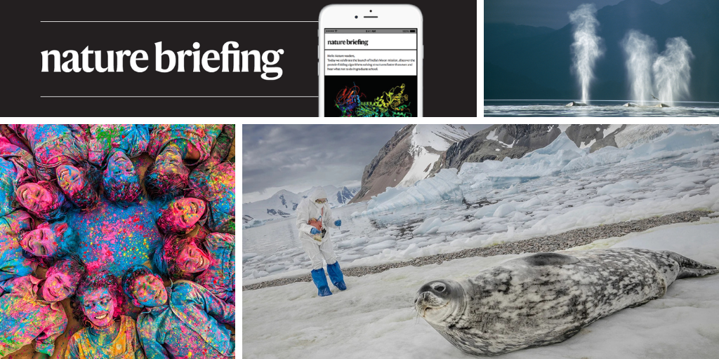 media.nature.com image