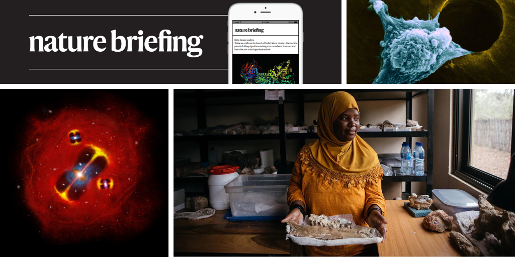 Daily briefing: Animals without brains sleep too — hinting at why we sleep at all