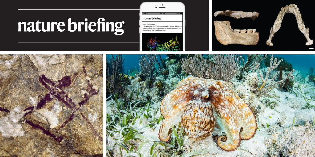 media.nature.com image