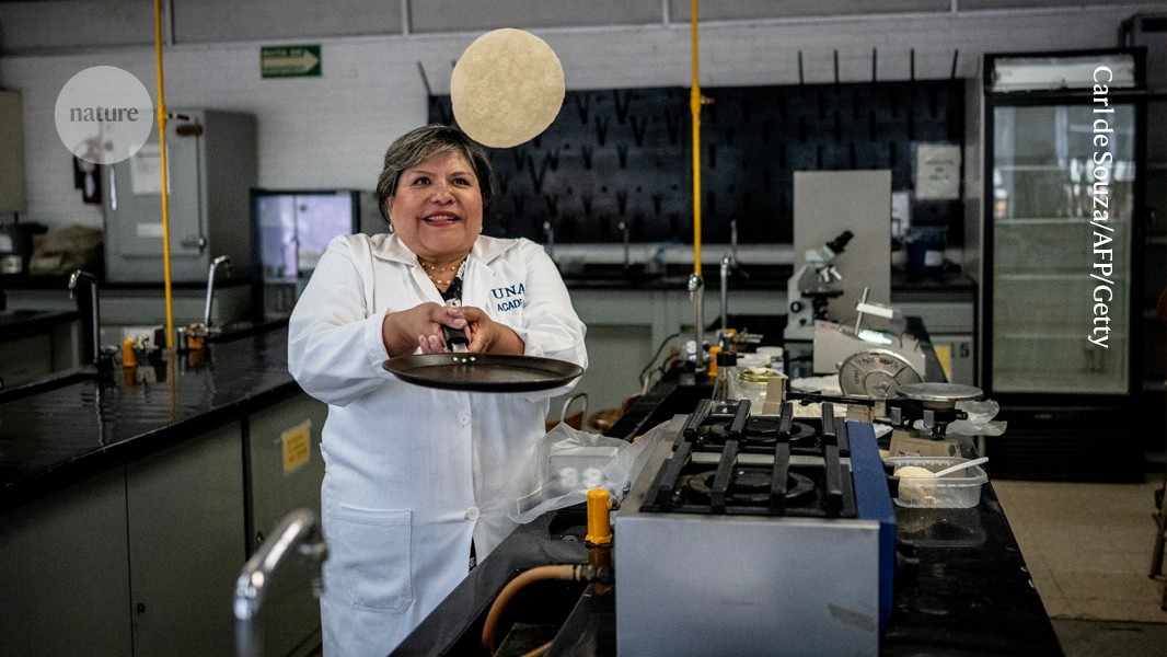 Developing super-tortillas to address malnutrition in Latin America