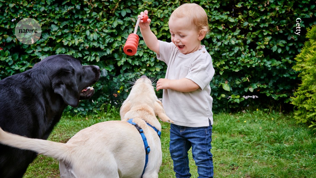 media.nature.com image