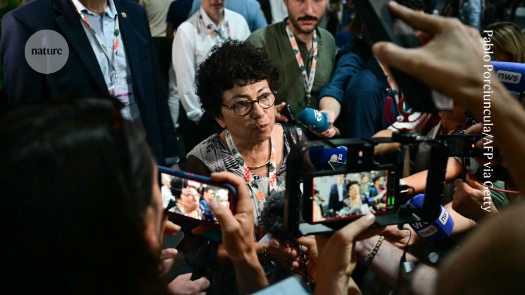 Science journalism on the ropes worldwide as US aid cuts bite