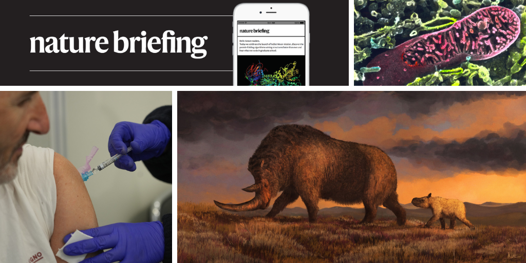 media.nature.com image