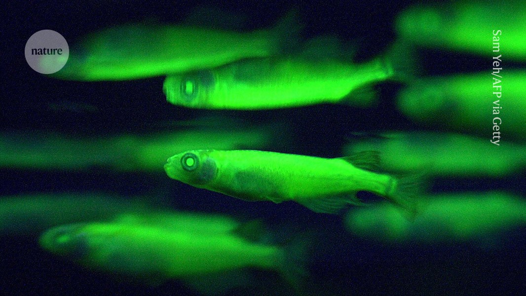 media.nature.com image