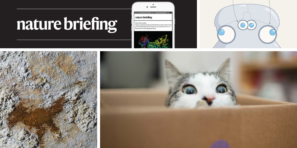 media.nature.com image