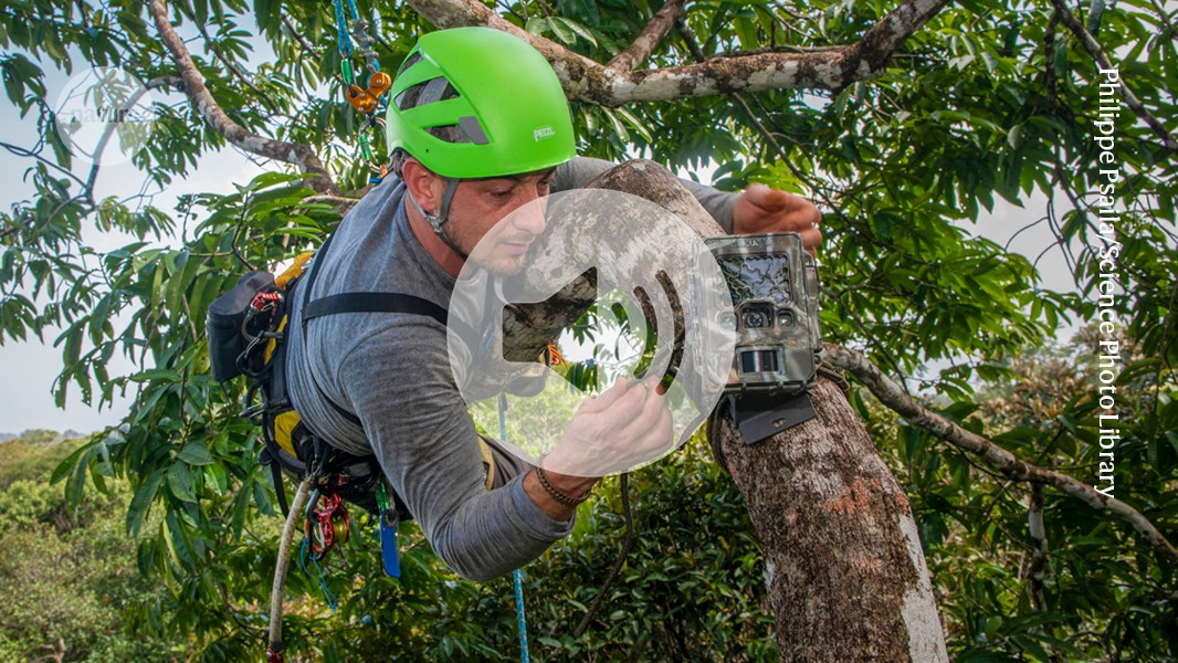 media.nature.com image