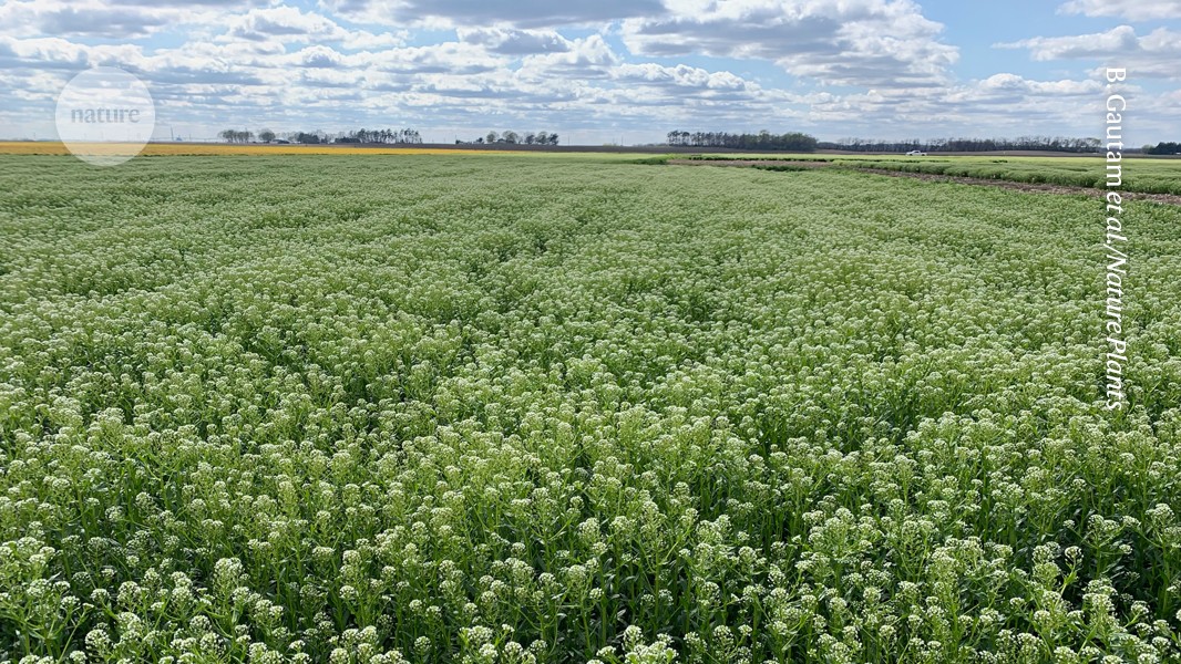 media.nature.com image