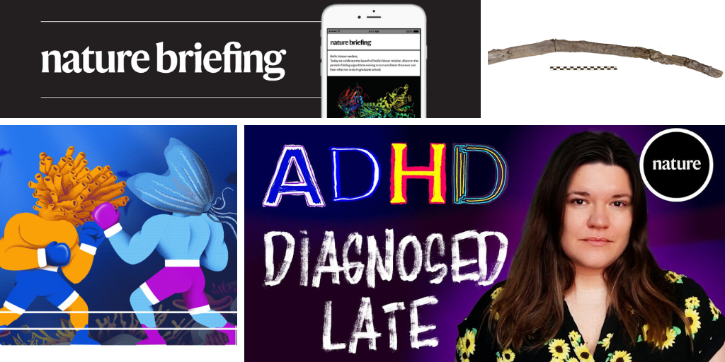 Daily briefing: The battle over the identity of the first animals