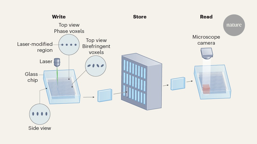 media.nature.com image