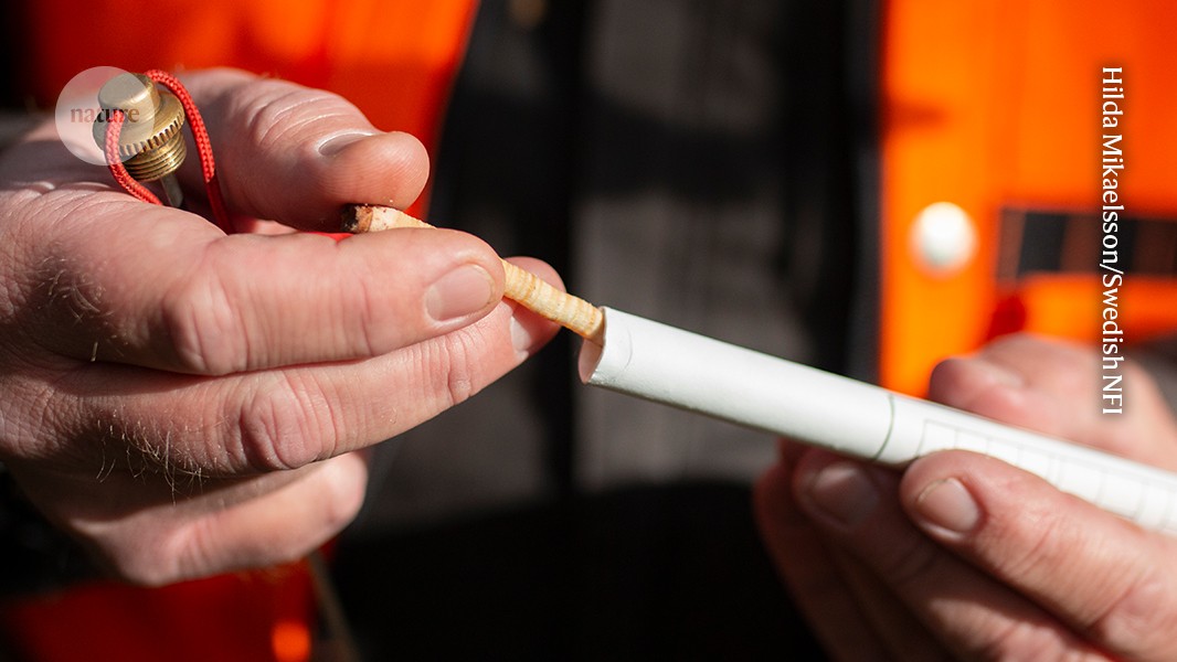 media.nature.com image