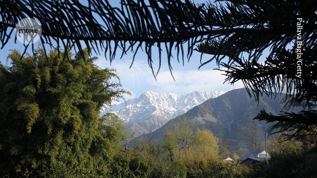 Biodiversity conservation has an evidence problem — it’s time to fix it