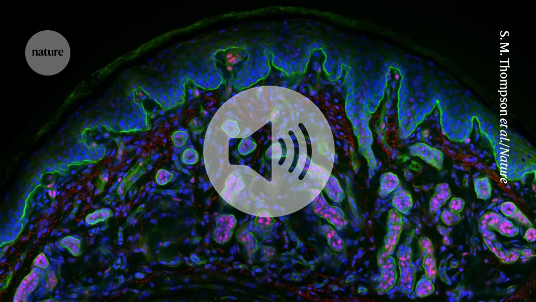 media.nature.com image