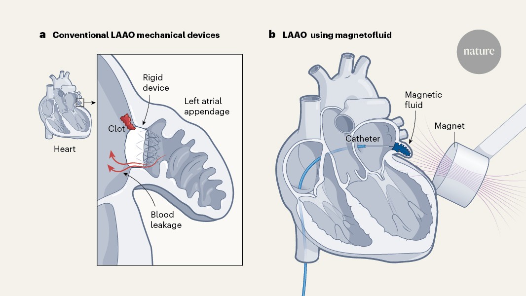 media.nature.com image