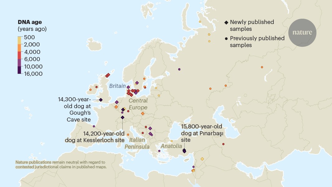media.nature.com image