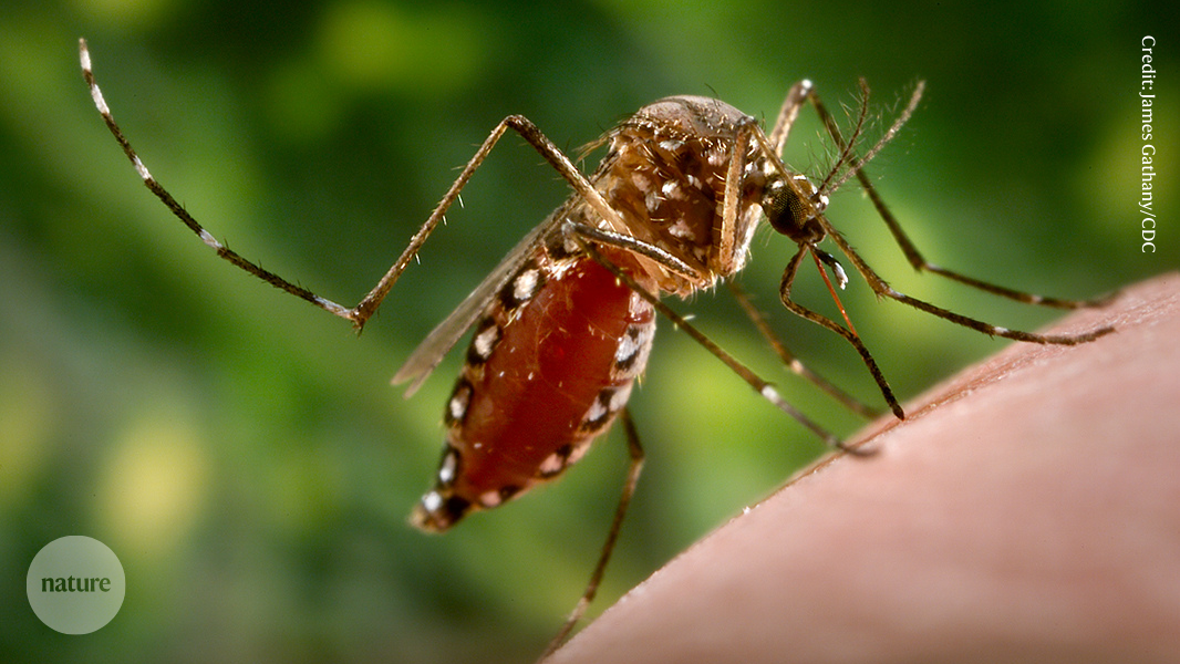 How I squeeze fresh science from public data