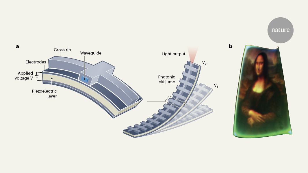 media.nature.com image