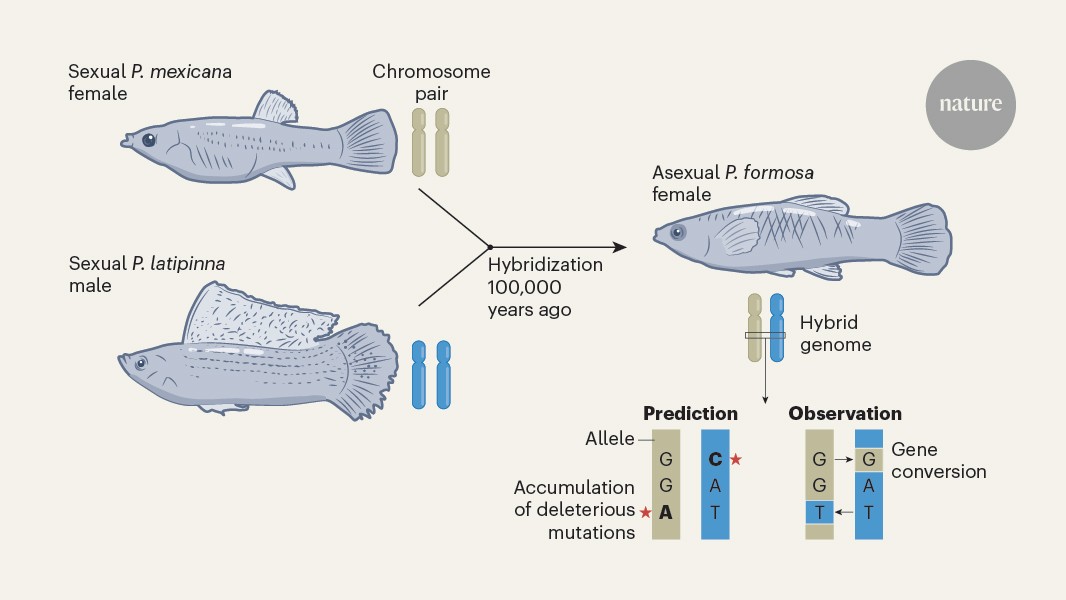 media.nature.com image