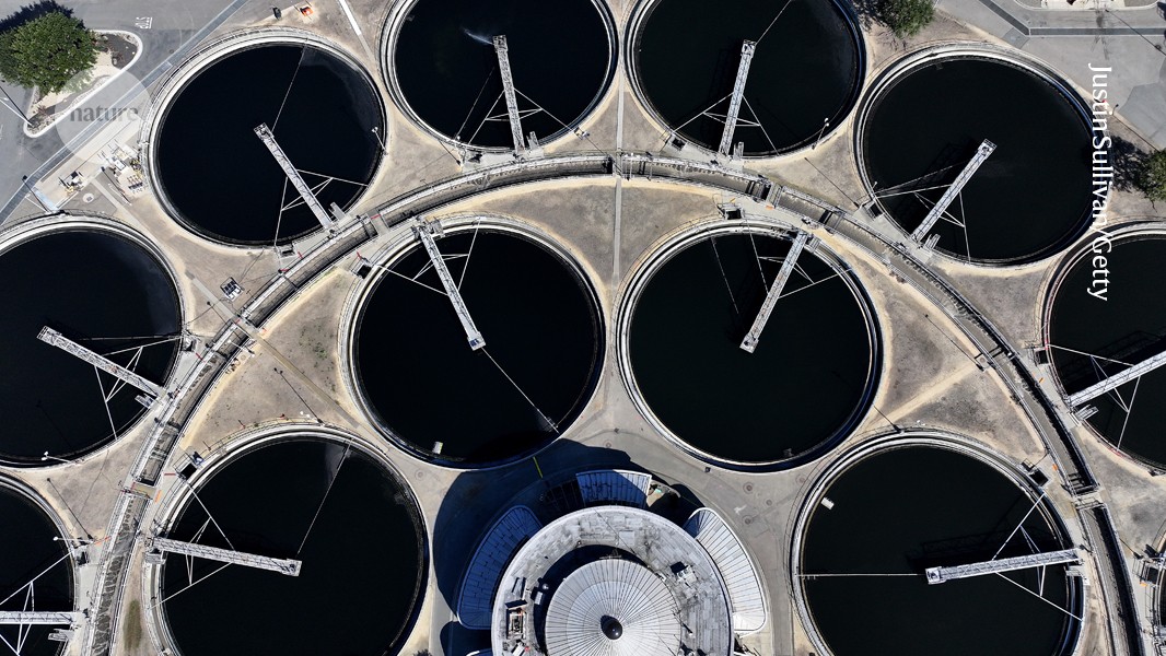 media.nature.com image