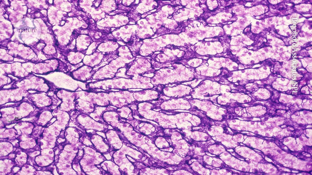 media.nature.com image