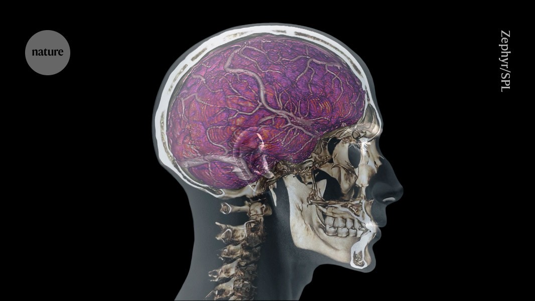 media.nature.com image