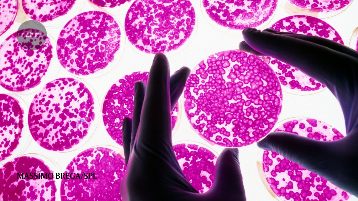 media.nature.com image