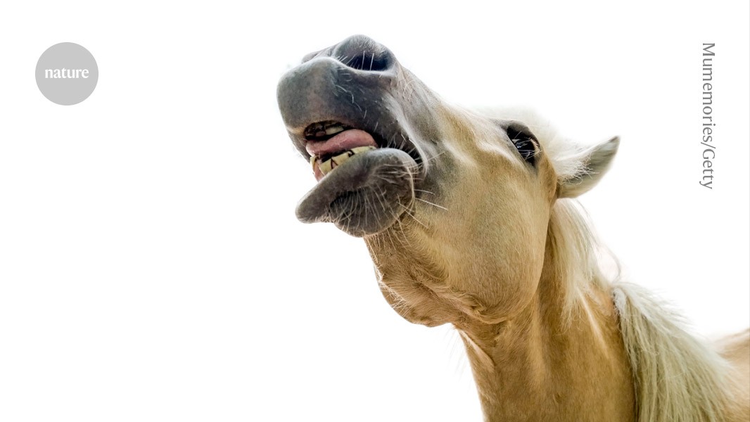 media.nature.com image