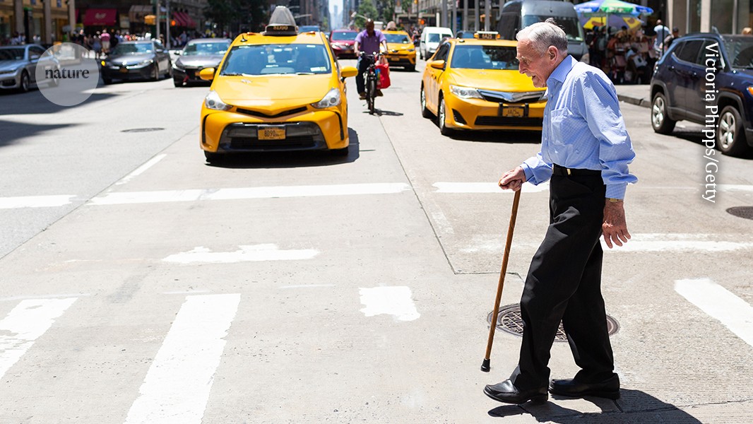 Stem cells provide a potent treatment for frailty