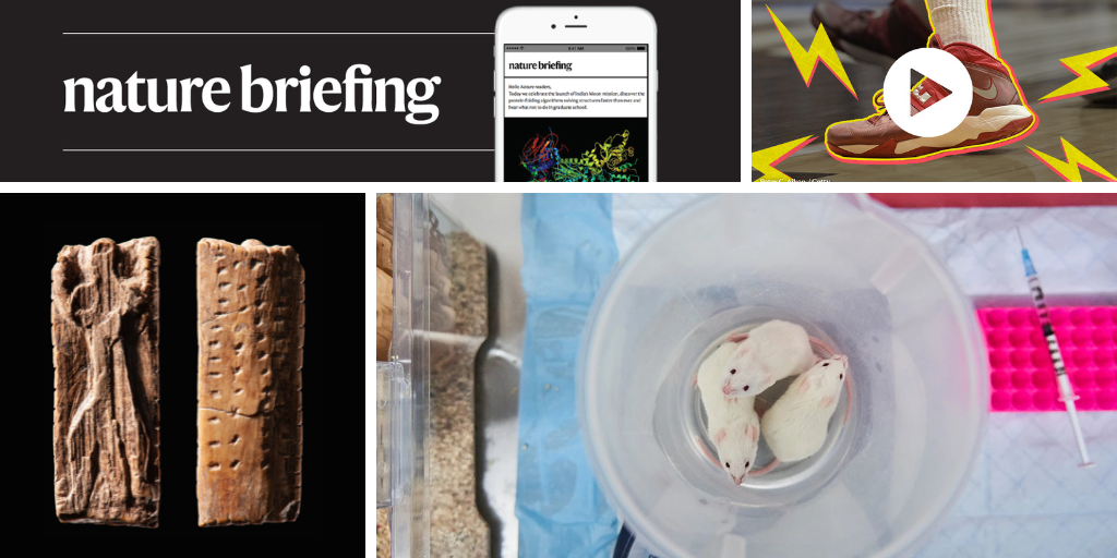 media.nature.com image