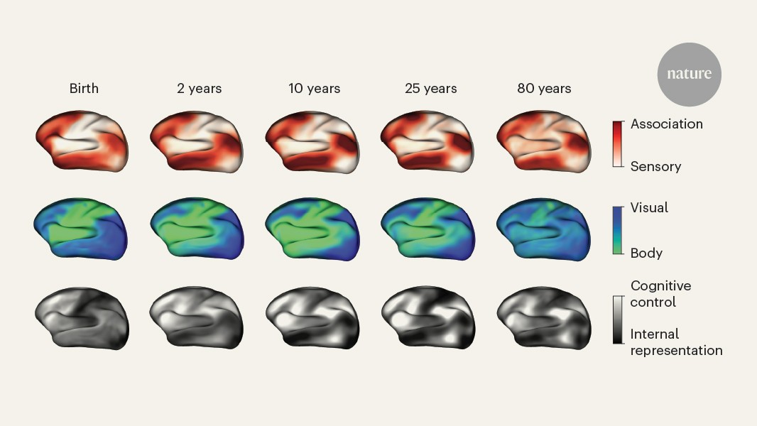 media.nature.com image