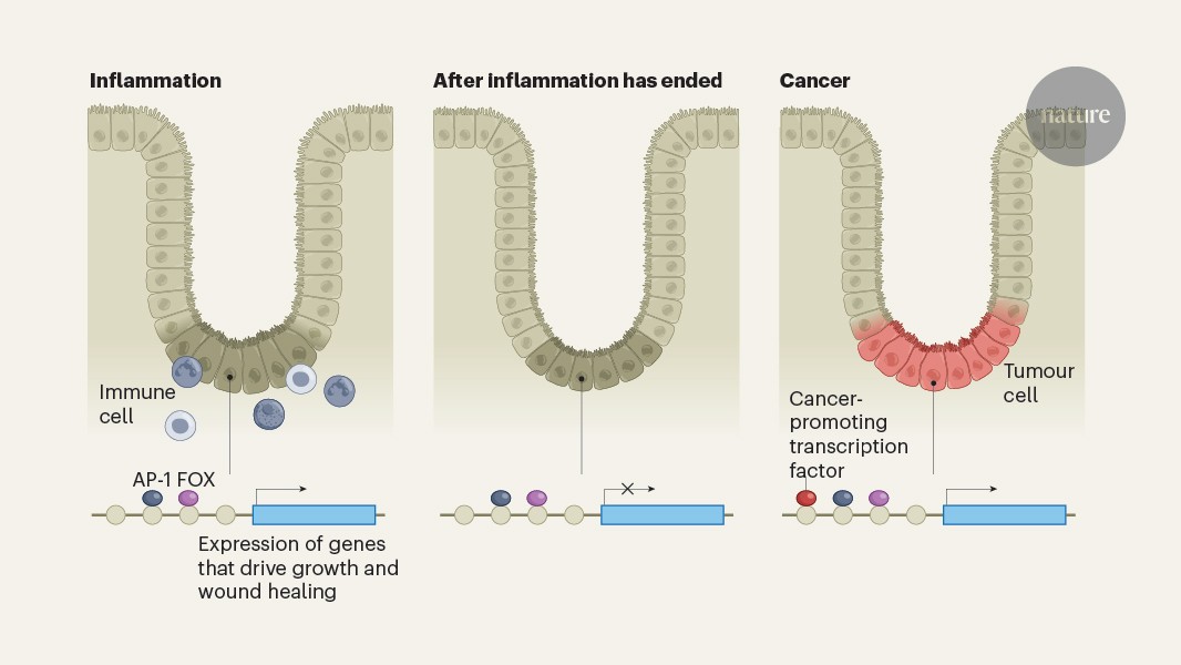 media.nature.com image