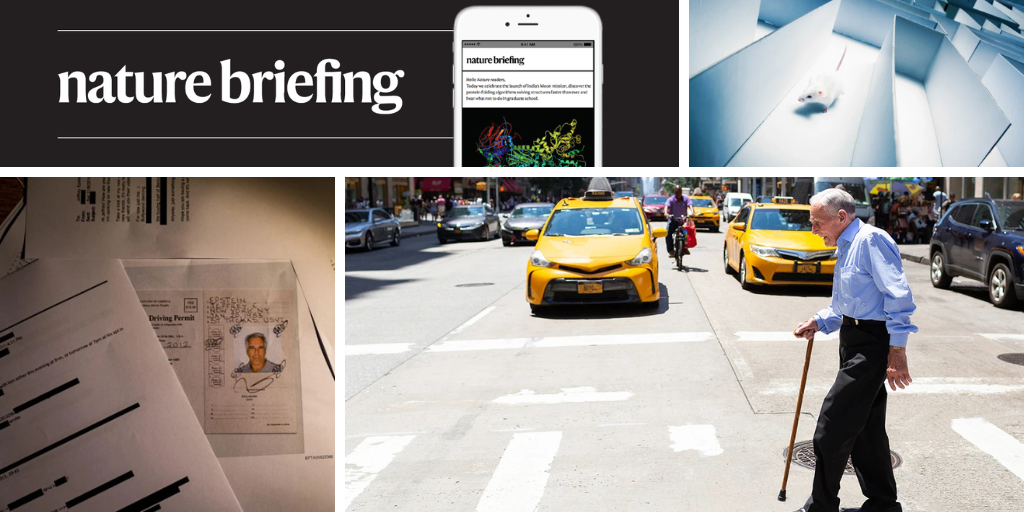 Daily briefing: Stem-cell treatment strengthens people with age-related frailty