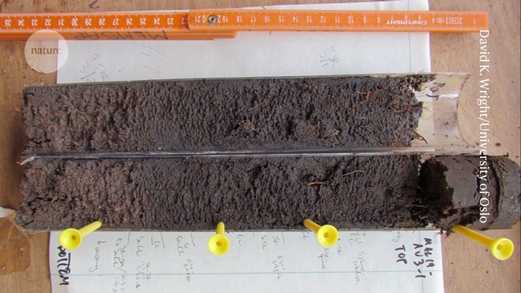 media.nature.com image