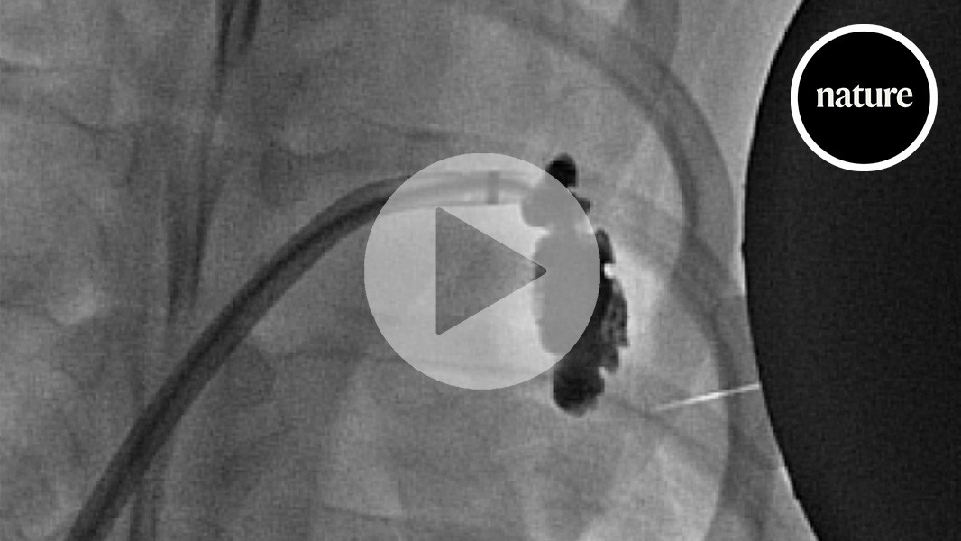 media.nature.com image