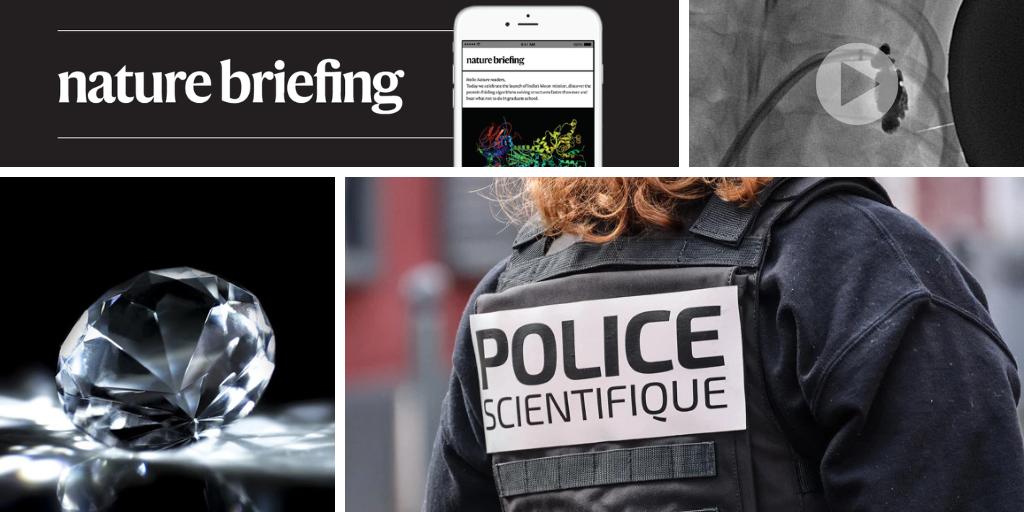 media.nature.com image