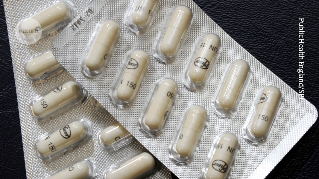 A single course of antibiotics can cause lingering changes in gut microbes