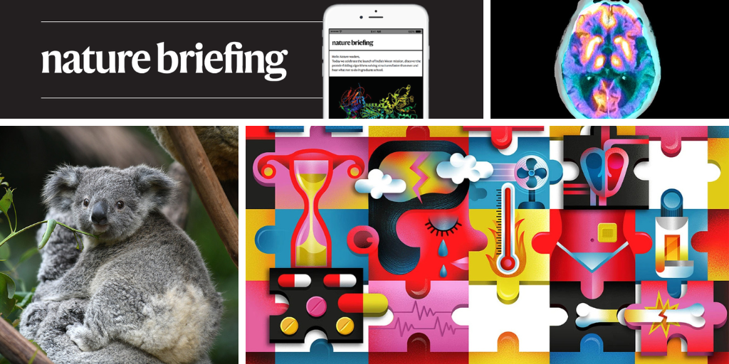 Daily briefing: How koalas escaped a genetic bottleneck