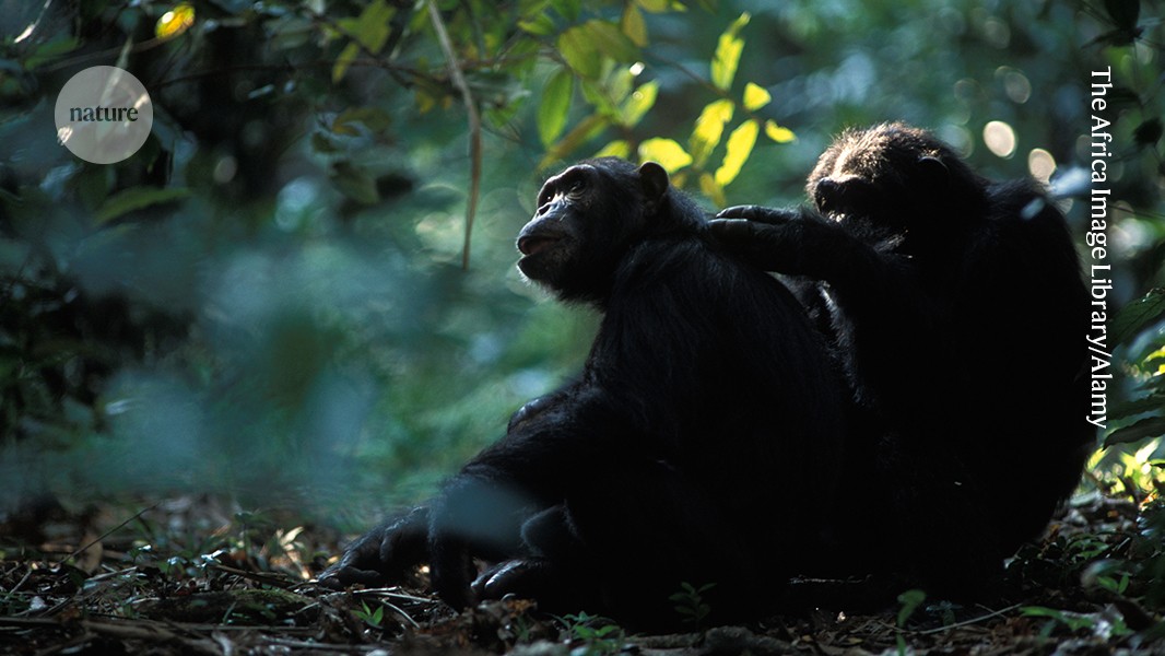 Forty-five years of progress after a key paper about the evolution of cooperation