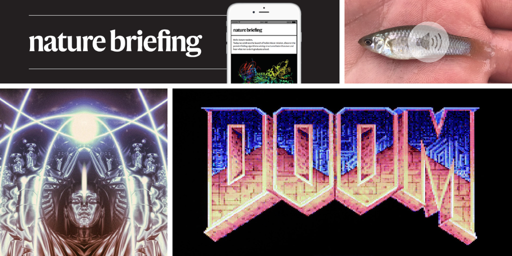 Daily briefing: Genomes shake up the shark family tree