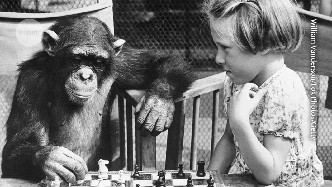 How the idea of human superiority over nature was invented