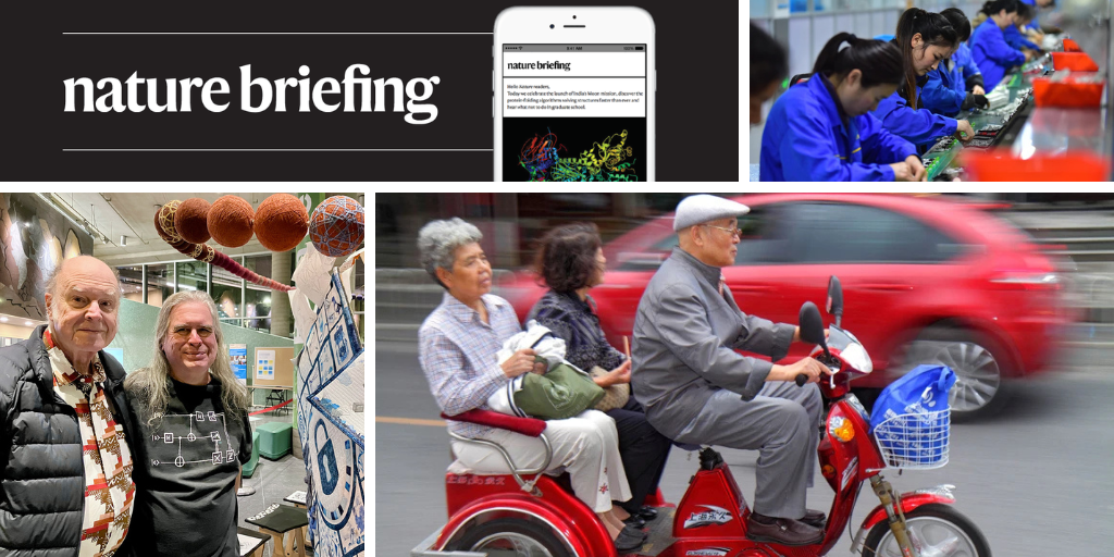 Daily briefing: Funding calls plummet as NIH turns away from agency-directed science