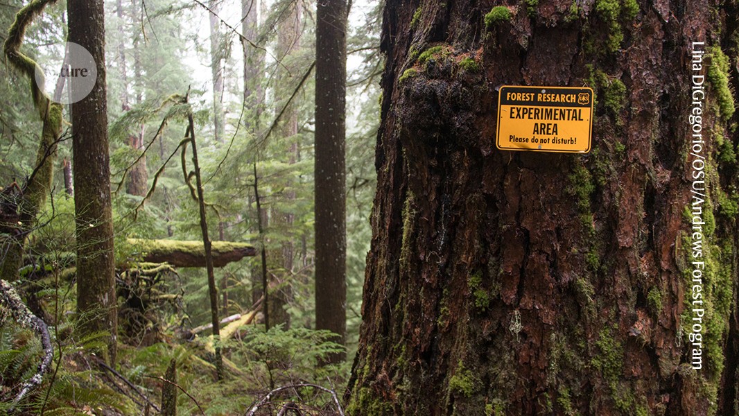 media.nature.com image