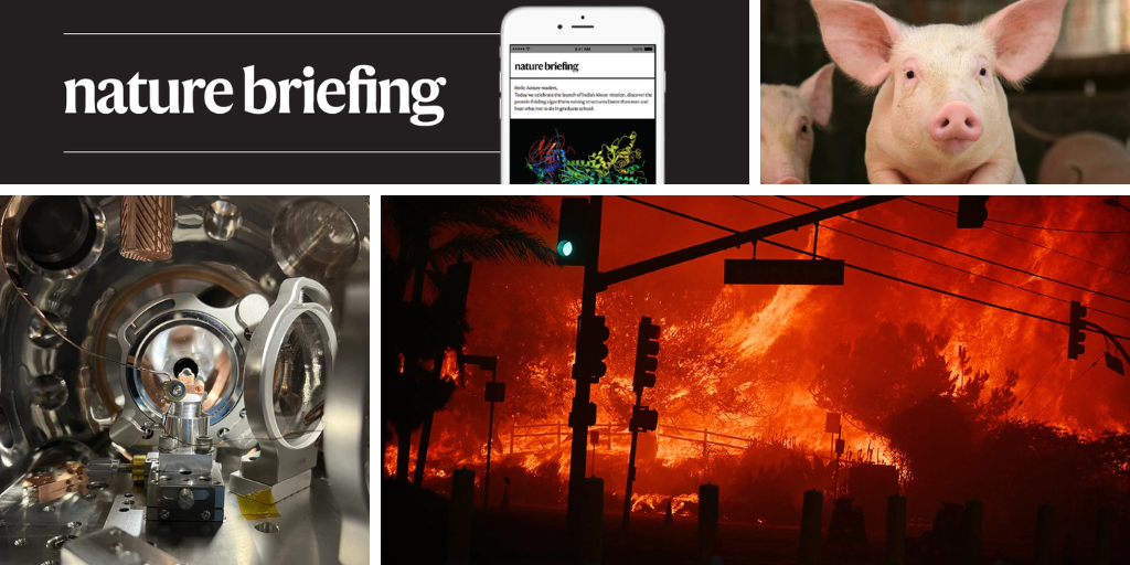 Daily briefing: We’ve just had the 11 hottest years on record