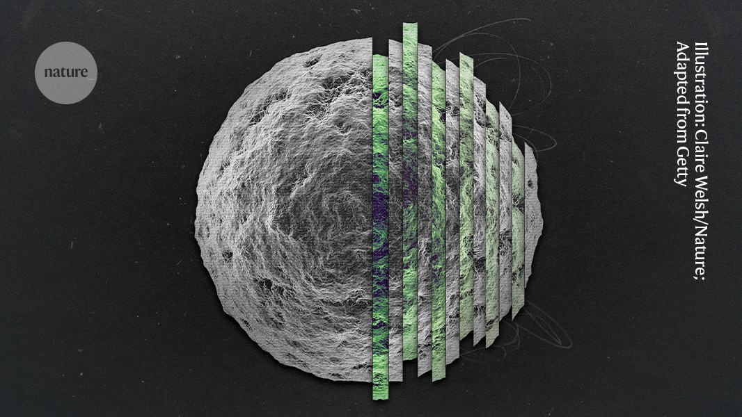 Dawkin’s paradox: dissecting the body’s battle to keep selfish genes in check