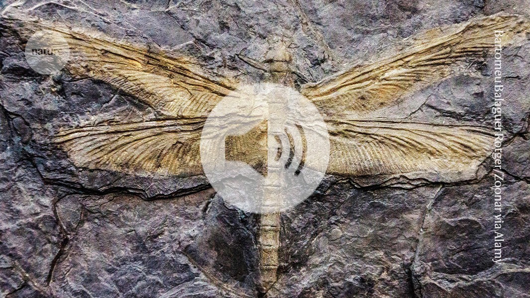 media.nature.com image