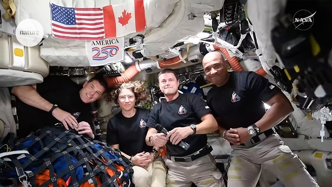 Moon fly-by live coverage: Artemis crew emerge from behind the Moon ...