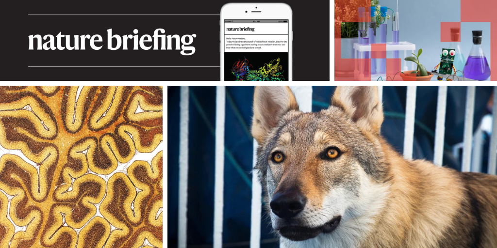 Daily briefing: Earliest known dog genome pushes genetic record back 5,000 years