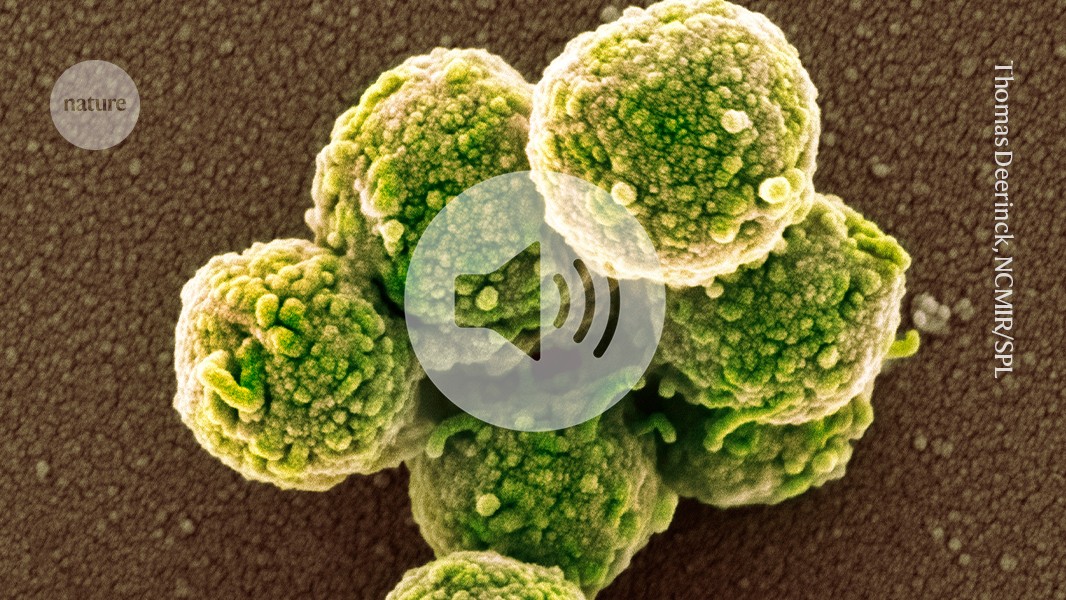 Briefing Chat: ‘Zombie cells’ resurrected with new genes