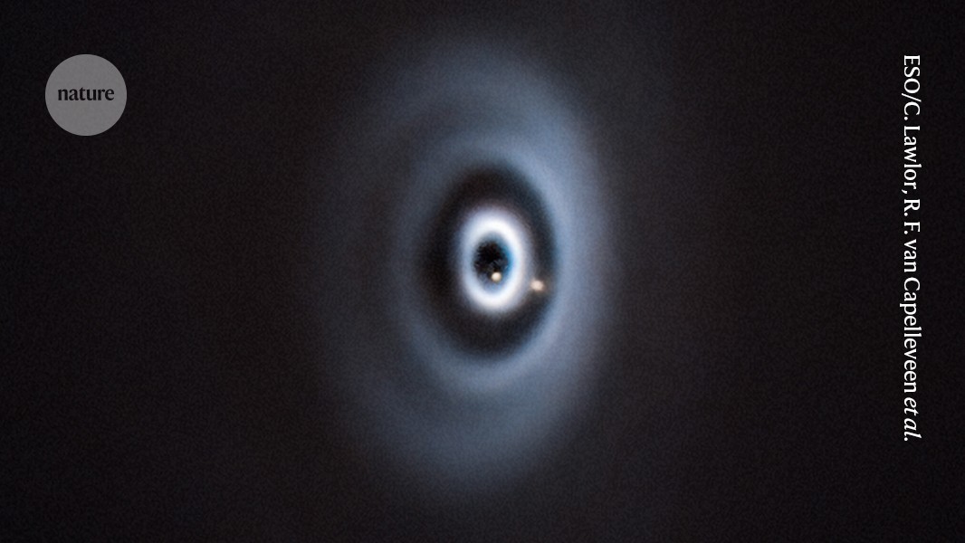 A solar system is born