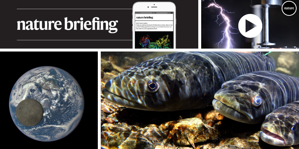 Daily briefing: Women’s academic careers are knocked by parenthood much more than men’s